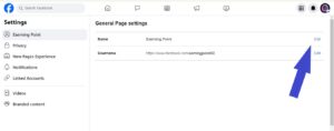 Click on "Edit" next to your current page name and enter the new desired name for your page.