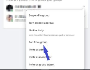 Click on the "Ban from group" option.