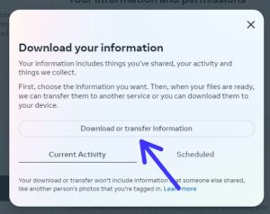 Select "Download or Transfer Information."